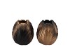 TOULON BLACK/GOLD VASE ASS P/1 9X9X10CM NM