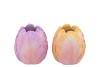 TOULON PINK/PASTEL VASE ASS P/1 11X11X12CM NM