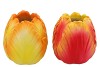 TOULON BURNING FLAME VASE ASS P/1 21X21X24CM NM