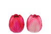 TOULON FUNKY FUCHSIA VASE ASS P/1 9X9X10CM NM