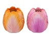 TOULON SUNRISE PINK VASE ASS P/1 19X19X21CM NM