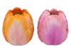 TOULON SUNRISE PINK VASE ASS P/1 21X21X24CM NM