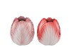 TOULON RED/PINK VASE ASS P/1 11X11X12CM NM