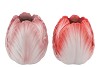 TOULON RED/PINK VASE ASS P/1 19X19X21CM NM