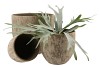 LOURES DIRTY SAND POT 20X18CM NM