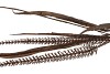 PINE GRASS DUBBEL BRONZE L110 CM