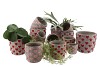 LOVE AMORE SINGLE PINK POT ASS P/1 14X14X13CM NM