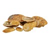 SCHELP ABALONE YELLOW 19X18,5X4,5CM