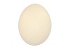 EGGS STRUISVOGELS NATUREL P/1