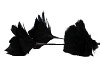 SILK FEATHER FLOWER BLACK 3 OP VOET 45CM NM