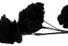 SILK FEATHER FLOWER BLACK 7 OP STEEL 95CM NM