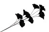 SILK FEATHER FLOWER BLACK 9 OP STEEL 110CM NM