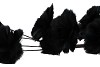 SILK FEATHER FLOWER BLACK 9 OP STEEL 110CM NM