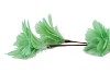 SILK FEATHER FLOWER PISTACH 3 OP VOET 45CM NM