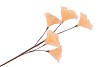 SILK FEATHER FLOWER PEACH 5 OP STEEL 85CM NM
