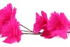 SILK FEATHER FLOWER FUCHSIA 9 OP STEEL 110CM NM