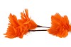 SILK FEATHER FLOWER ORANGE 3 OP VOET 45CM NM