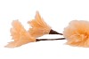 SILK FEATHER FLOWER PEACH 3 OP STEEL 80CM NM