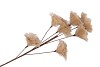 SILK FEATHER FLOWER SAND 7 OP STEEL 95CM NM