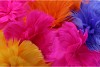 SILK FEATHER FLOWER FUCHSIA 3 OP VOET 45CM NM