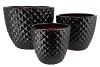 MALAYSIA SHINY BLACK PINEAPPLE 38X30CM S/3 NM