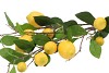 SILK LEMON BRANCH YELLOW 90CM NM