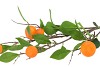 SILK CLEMENTINE ORANGE 80CM NM