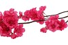 SILK CHERRY BLOSSOM PINK 85CM