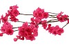 SILK CHERRY BLOSSOM PINK 126CM