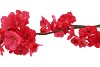 SILK CHERRY BLOSSOM RED 85CM