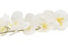 SILK ORCHIDEE XL WHITE 73CM