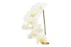 SILK ORCHIDEE XL WHITE 73CM