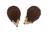 HEDGEHOG POLY BIG ASS P/1 15X10X9CM NM