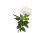 SILK PEONY TAK WHITE 71CM NM