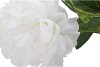 SILK PEONY TAK WHITE 71CM NM