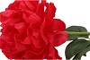 SILK PEONY TAK RED 71CM NM
