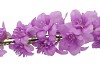 SILK DELPHINIUM TAK LILAC 115CM NM