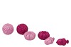 JINGLE FUCHSIA/PINK PUMPKIN ASS