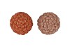 JINGLE NUDE/COPPER PINECONE ASS 7X7X10CM NM
