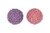 JINGLE PURPLE/PINK PINECONE ASS 7X7X10CM