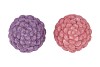 JINGLE PURPLE/PINK PINECONE ASS 9X9X13CM