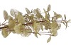 SILK EUCA CINEREA GOLD 72CM