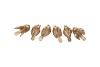 DECO HUMMING BIRD GOLD 6 ASSORTED 5X5X7CM