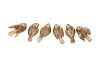 DECO HUMMING BIRD GOLD 6 ASSORTED 5X5X9CM