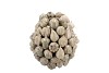 FOREST FRUIT GREEN ACTIVE GLAZE VASE 15X16CM