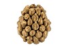 FOREST FRUIT GOLD VASE 20X22CM
