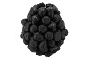 FOREST FRUIT BLACK VASE 26X29CM