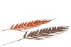 PICK SHINE FERN COPPER/BRONZE 48CM ASS P/12 NM