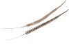 PICK SHINE PENNI CHAMPAGNE/GOLD 52CM ASS PER 12