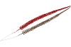 PICK SHINE PENNI RED/GOLD 52CM ASS PER 12